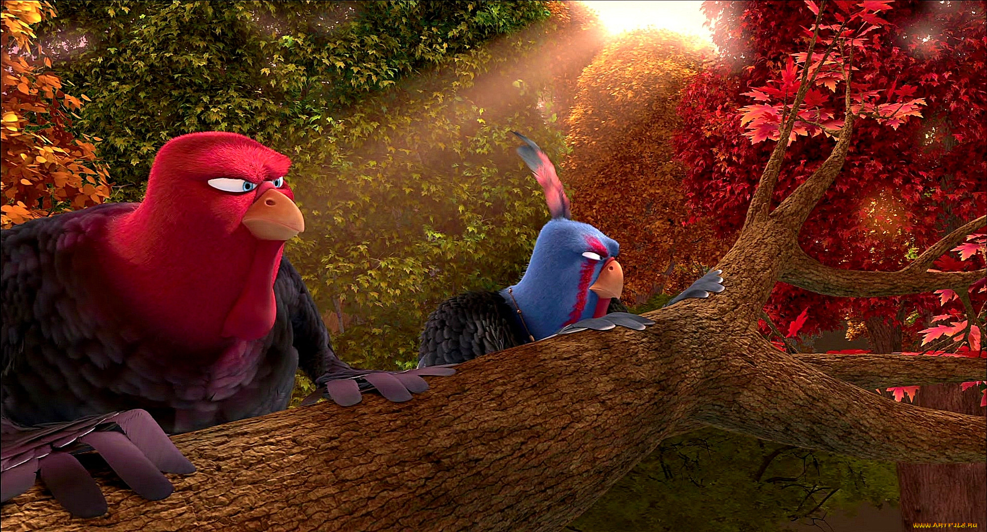 , free birds, , , , , , 